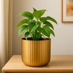 Ecofynd Metal Plant Pot, For Home Garden Decor Planter For Living Room Bedroom Interior (Gold Finish, POT047)