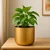 Ecofynd Metal Plant Pot, For Home Garden Decor Planter For Living Room Bedroom Interior (Gold Finish, POT047)