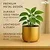 Ecofynd Metal Plant Pot, For Home Garden Decor Planter For Living Room Bedroom Interior (Gold Finish, POT047)