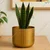 Ecofynd Metal Plant Pot, For Home Garden Decor Planter For Living Room Bedroom Interior (Gold Finish, POT047)
