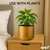 Ecofynd Metal Plant Pot, For Home Garden Decor Planter For Living Room Bedroom Interior (Gold Finish, POT047)