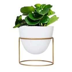 Ecofynd 6 inch White Metal Planter Pot with Stand | Used for Indoor Home & Garden Decoration