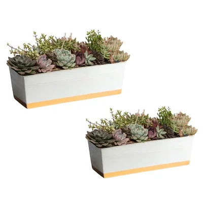 Ecofynd 16 Inches Rectangular Metal Planter Pots - White, Pack of 2 (POT042-WHT)