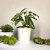 Ecofynd 10 inches Golden Border White Metal Planter Pot | Used for Home Decoration