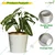 Ecofynd 10 inches Golden Border White Metal Planter Pot | Used for Home Decoration