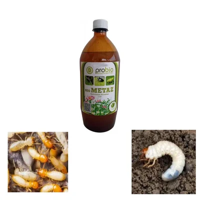 Pioneer Agro Bio Metaz Metarhizium Anisopliae Bio Pesticide (1 Ltr) | Fungal Biological Insecticide for Organic Farming