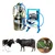 Stainless Steel Single Bucket Milking Machine With 0.5 HP Motor