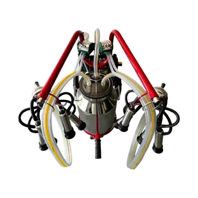 Premium Premium Quality Single Bucket Milking Machine with 220LPM Pump and 1 HP Motor for Commercial Use