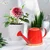 Ecofynd Compact & Stylish Galvanized Iron Watering Can for Indoor and Outdoor Plants
