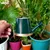 Ecofynd Mini Garden Watering Can for Kids' Use - Green Color - Pack of 2 (EC19016-GRN)