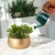 Ecofynd Mini Garden Watering Can for Kids' Use - Green Color - Pack of 2 (EC19016-GRN)