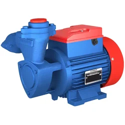 Crompton 0.5Hp Single Phase Self Priming Monoblock Pump, 99ft Max. Head, 25X25mm (Mini Master II) - 1 Year Warranty