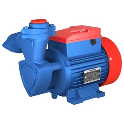 Crompton 1Hp Single Phase Self Priming Monoblock Pump, 157ft Max. Head, 25X25mm (MINI MASTER I) - 18 Months Warranty