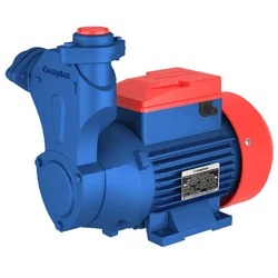 Crompton 1 Hp Single Phase Self Priming Monoblock Pump, 164ft Max. Head, 25X25mm (MASTERPLUS I) - 2 Years Warranty