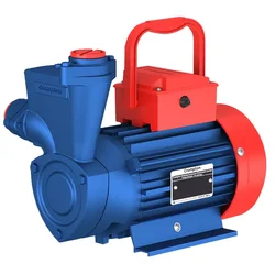 Crompton 1 Hp Single Phase Self Priming Monoblock Pump, 148ft Max. Head, 25X25mm (STAR PLUS I) - 18 Months Warranty