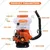 Neptune MBD-20 2-in-1 2-Stroke 43cc Petrol Engine Knapsack Mist Blower, Power Duster & Fogger With 20L Tank Capacity