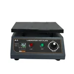 SESW Extra Large Size (12 x 18 inch) Digital Laboratory Hot Plate, Mild Steel Body 