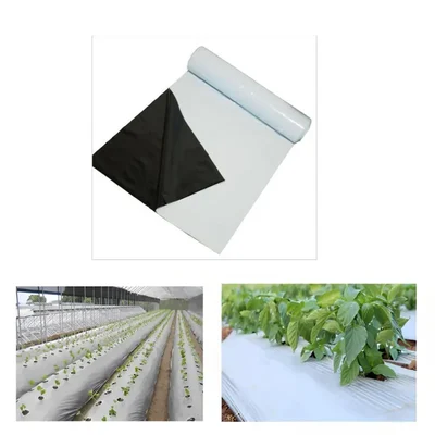 Siddhi 30 micron 400 meter Black and White Mulching Sheet | Suitable for Garden and Agriculture Purposes(Size-3.25 feet x 400 meters)