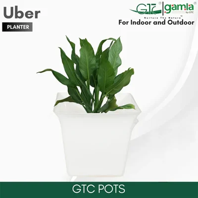 GTC 8" Multi Color Uber Pot Modern Decorative Pots for Stylish Spaces, Home Decoration, Gardens (Pack of 3)(Color-White)