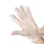 10000 Pcs, Transparent Multipurpose Disposable Gloves For Hair-dye, Clinics, Hotels, Salons, Kitchen (Universal Fit)
