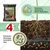 Ecofynd EC19152-105 100% Organic 5kg Vermicompost Natural Organic Fertilizer Manure for Home, Garden, Balcony Gardening
