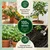 Ecofynd EC19152-105 100% Organic 5kg Vermicompost Natural Organic Fertilizer Manure for Home, Garden, Balcony Gardening
