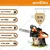 NEPTUNE SIMPLIFY FARMING CS-58, 58-cc Chainsaw Machine with 22 inch Guide Bar for Cutting/Logging Woods, Felling Trees