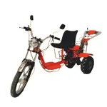 Neptune Simplify Farming, NWP-170 Bike Style 4-Stroke 212 CC, 5 HP Power Tiller/Cultivator