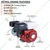 Neptune (NPE-168) 196 CC 6.5 HP 4 Stroke Rope Start Air Cooled Petrol Engine With 3.6 Liter Fuel Tank & 6 Months Warranty