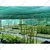NMK High Density Shade Net 90% UV Protected for Terrece Garden, Green House and Gardening (1x2 Mtr)