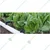 Kamal Agrotech 20 mm Online Drip Pipe for Drip Irrigation | 300 meter For Plant Gardening