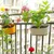 Ecofynd Hanging Flower Pots for Garden, 12 inch Railing Planter with Detachable Handle(Pack of 3)