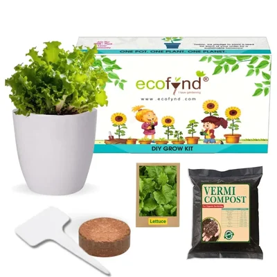 Ecofynd GROWKIT012 DIY Grow Kit for Lettuce, DIY Easy Grow it Yourself Gardening Kit for Home and Garden Gardening Set