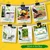 Ecofynd GROWKIT012 DIY Grow Kit for Lettuce, DIY Easy Grow it Yourself Gardening Kit for Home and Garden Gardening Set