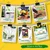 Ecofynd GROWKIT015 3in1 DIY Paint & Plant Growkit for Marigold, Sunflower and Cosmos Mix Gardening Kit for Home & Garden