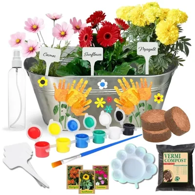Ecofynd GROWKIT015 3in1 DIY Paint & Plant Growkit for Marigold, Sunflower and Cosmos Mix Gardening Kit for Home & Garden