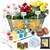 Ecofynd GROWKIT015 3in1 DIY Paint & Plant Growkit for Marigold, Sunflower and Cosmos Mix Gardening Kit for Home & Garden