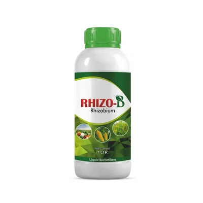 NSBCS Rhizobium Fast Absorption Plant Nutrient High Yield
