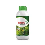 NSBCS Rhizobium Fast Absorption Plant Nutrient High Yield