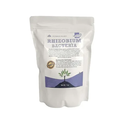 Pioneer Agro Rhizobium Bacteria Biofertilizer 1 Kg Pack High Organic Nitrogen Fixing Inoculant for Leguminous Crops