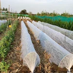 Orifesh 25 Micron, 1.6 x 400 meters Low Tunnel Crop Cover for Reducing Temparature