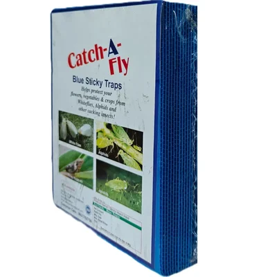 Orifesh 6 x 8 inch Blue Sticky Insect pheromone Glue Trap, 10 Sheet Bundle - Pack of 5