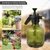 Oriley Manual Garden Spray Water Pressure Pump Water Bottle with Nozzle 3 L Hand Held Sprayer (Pack of 1)