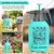 Oriley Water Mist Pressure Spray Pump Bottle with Nozzle For Home & Garden 2 L Hand Held Sprayer (Pack of 3)