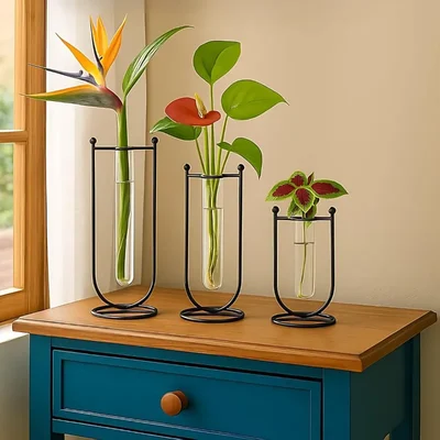 Ecofynd Glass Test Tube Hydroponics Planter with Metal Frame Stand For Living Room Decor(Set of 3, Black)