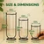 Ecofynd Glass Test Tube Hydroponics Planter with Metal Frame Stand For Living Room Decor(Set of 3, Black)