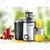 OVASTAR 600 Watts Juicer ,Model OWJE- 2823 IM (1 Years Warranty)