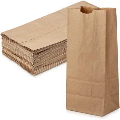 13"x8.5"x5" - 80 Gsm, Disposable Indian Kraft Paper Pouch for Picnic, Travel, Food Truck (Pack-20)