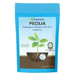 FARMROOT Pecilia Paecilomyces lilacinus 1.0% W.P For Nematicide | 1 Kg