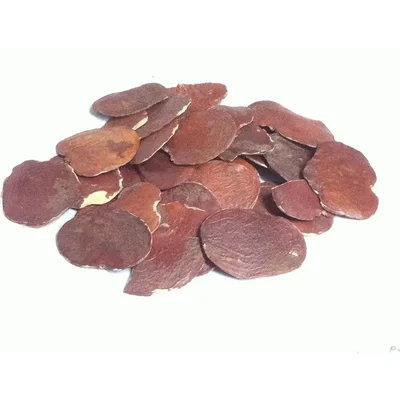 Butea monosperma (Moduga/ Flame of forest) Palash Flower Tree Seeds 100G